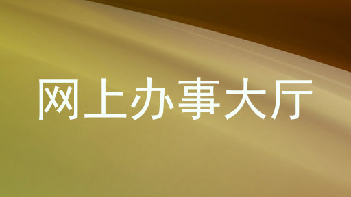 网上办事大厅