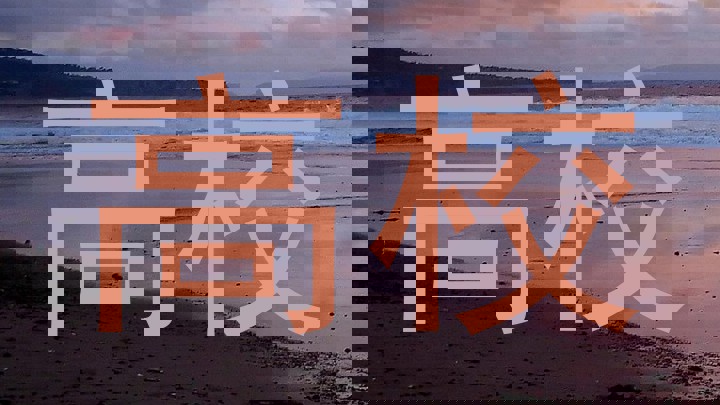 高校