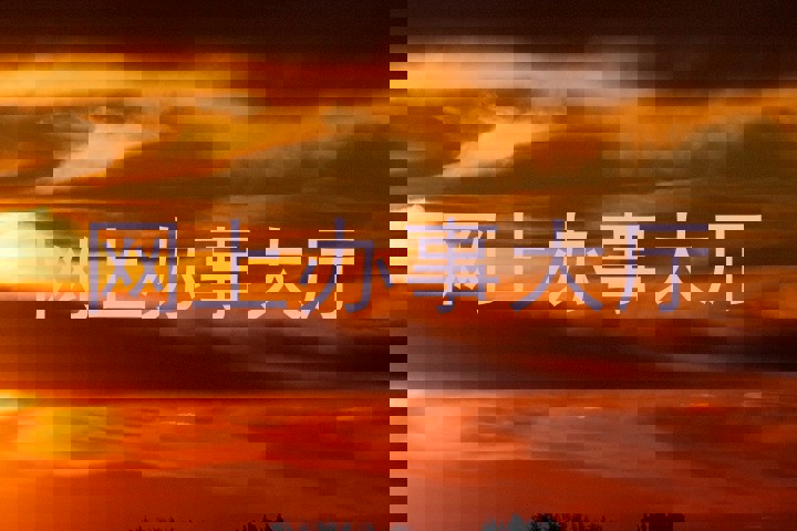 网上办事大厅