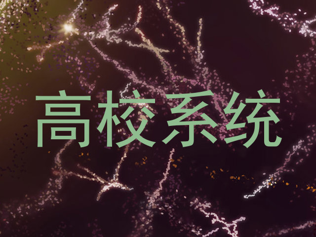 高校系统