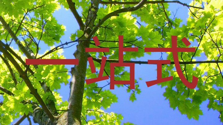 一站式