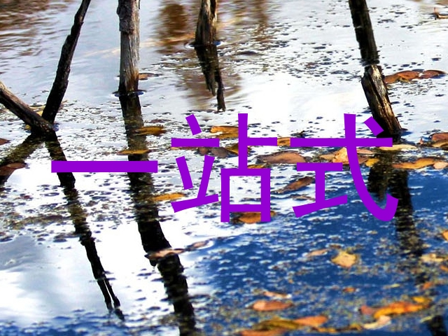 一站式