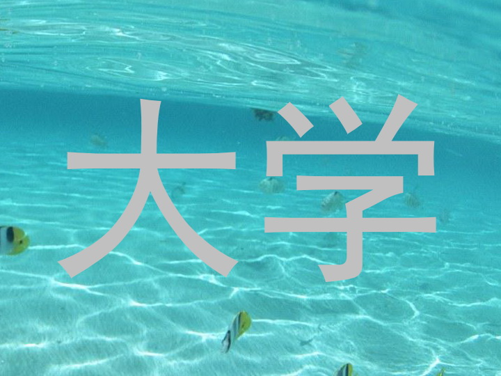 大学