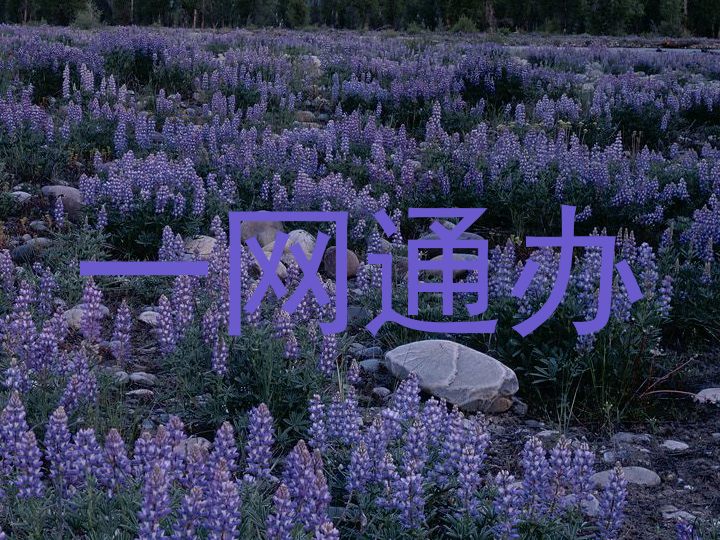 一网通办