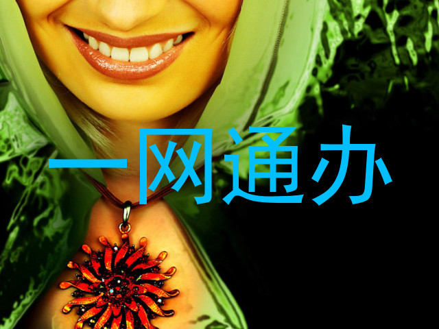 一网通办