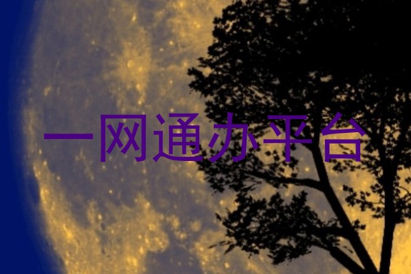 一网通办平台