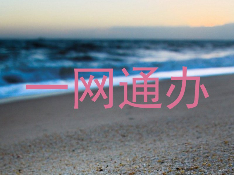 一网通办