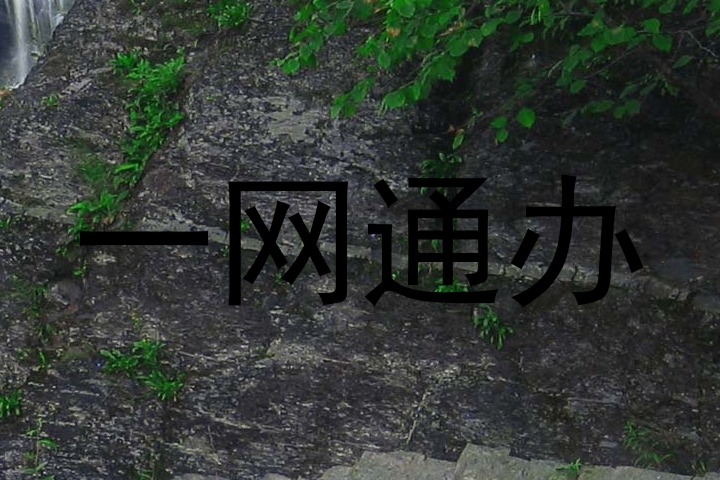 一网通办