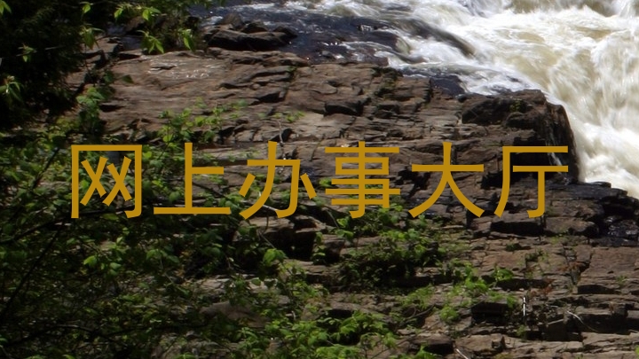 网上办事大厅