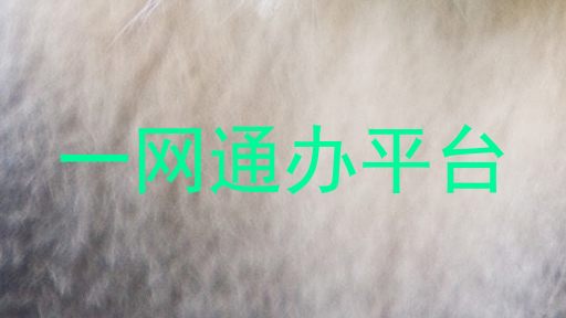 一网通办平台