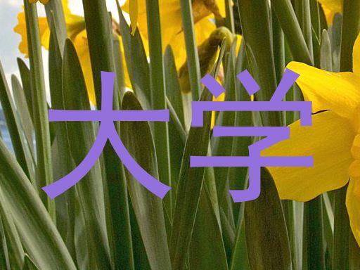 大学