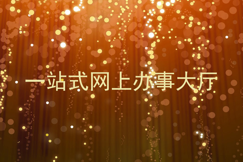一站式网上办事大厅