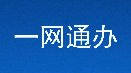 一网通办