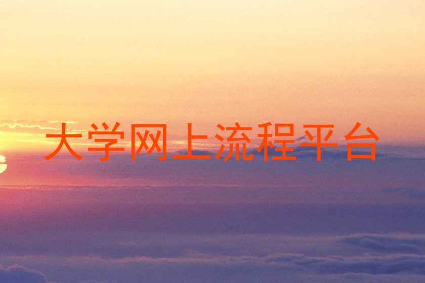 大学网上流程平台