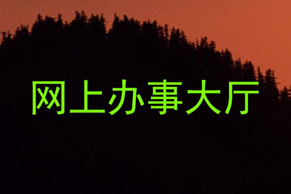 网上办事大厅