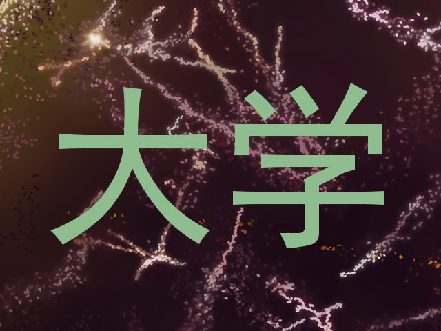 大学