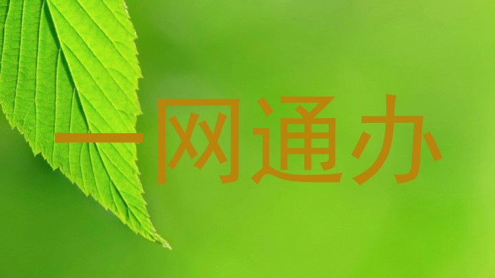 一网通办