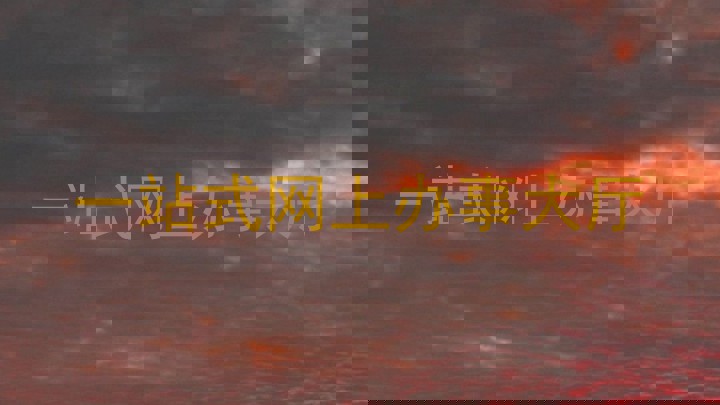 一站式网上办事大厅