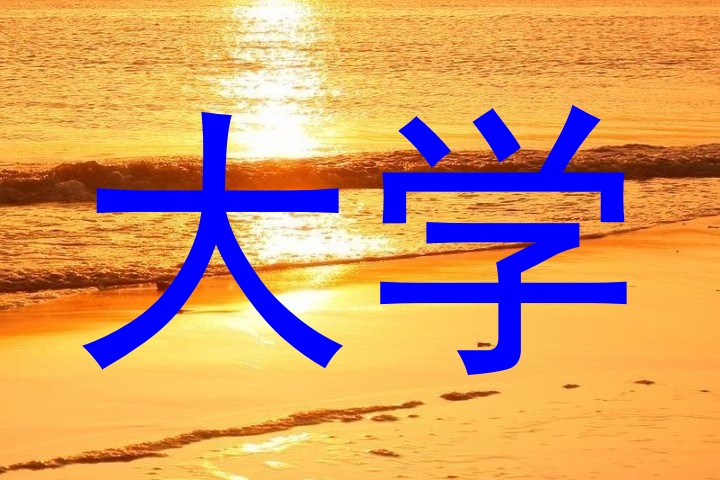 大学