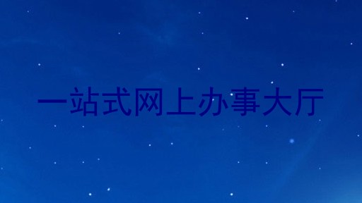 一站式网上办事大厅