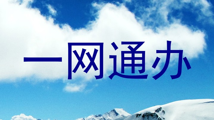 一网通办