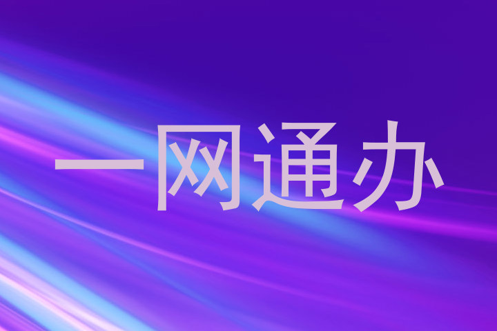 一网通办