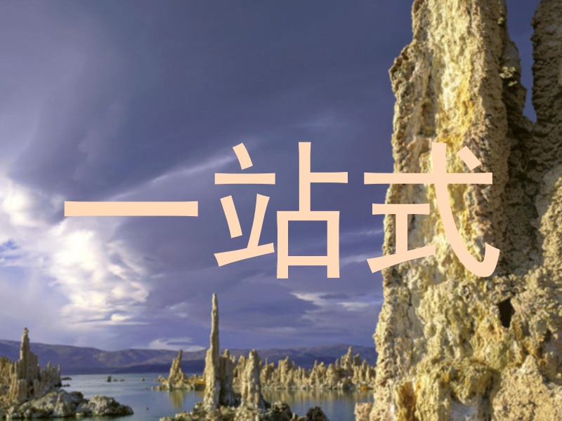 一站式