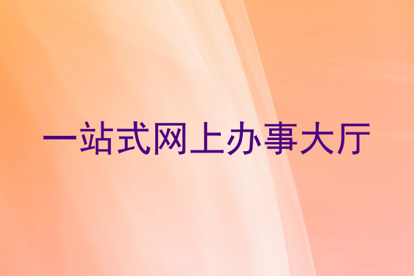 一站式网上办事大厅