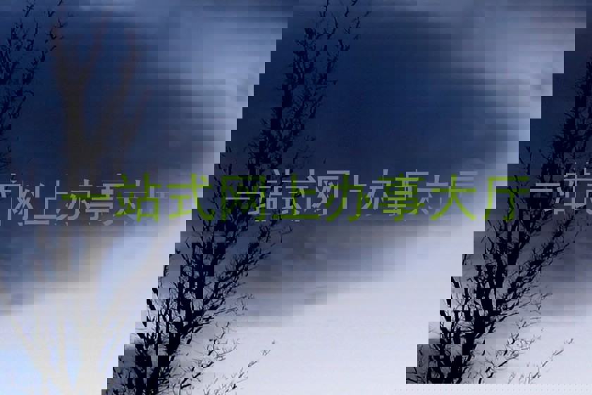 一站式网上办事大厅