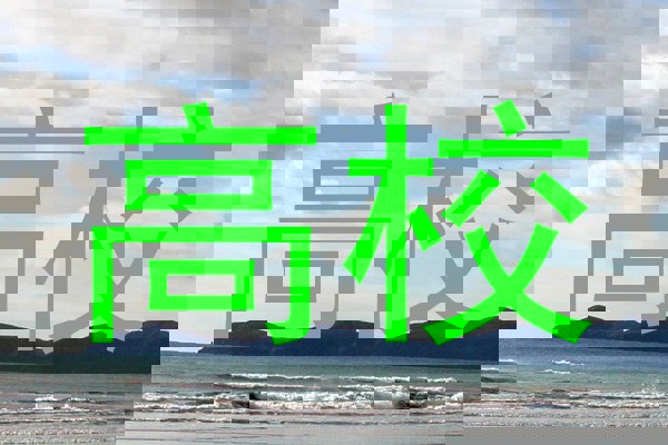 高校