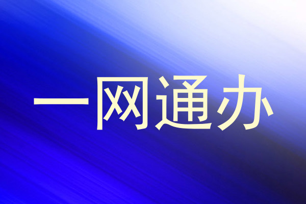 一网通办