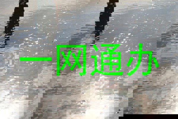 一网通办