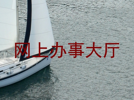 网上办事大厅