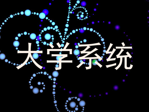 大学系统
