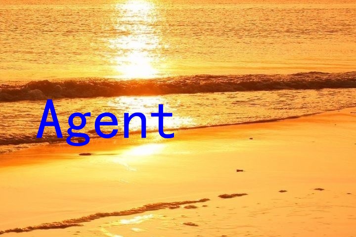 Agent