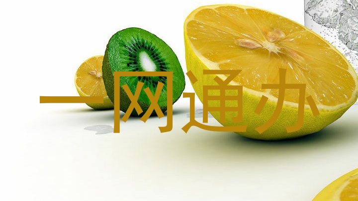 一网通办