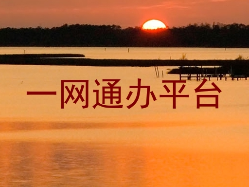 一网通办平台