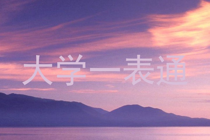 大学一表通