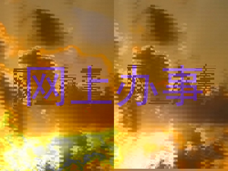 网上办事