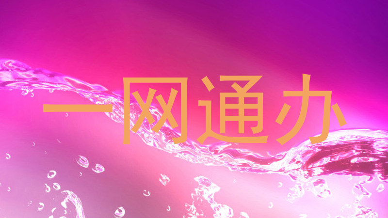 一网通办