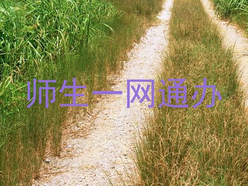 师生一网通办