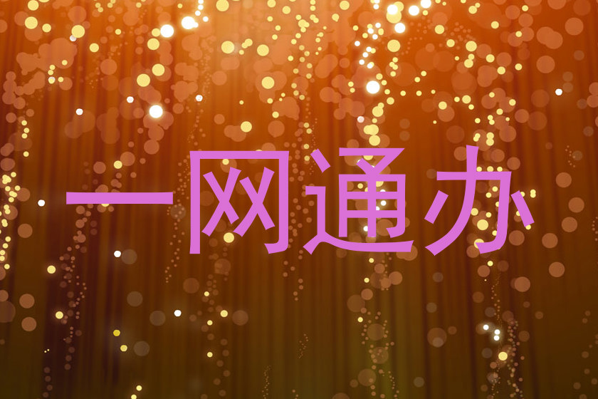 一网通办
