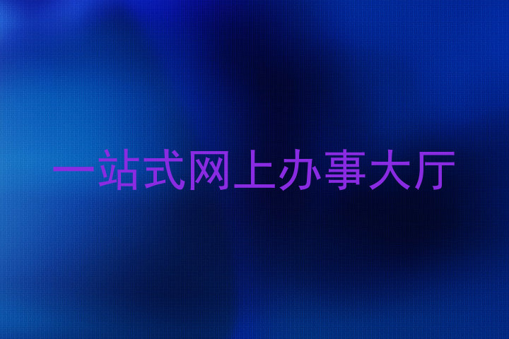 一站式网上办事大厅