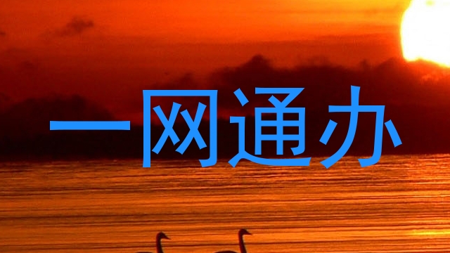 一网通办