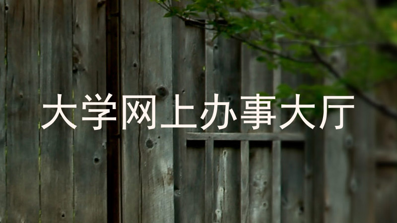 大学网上办事大厅