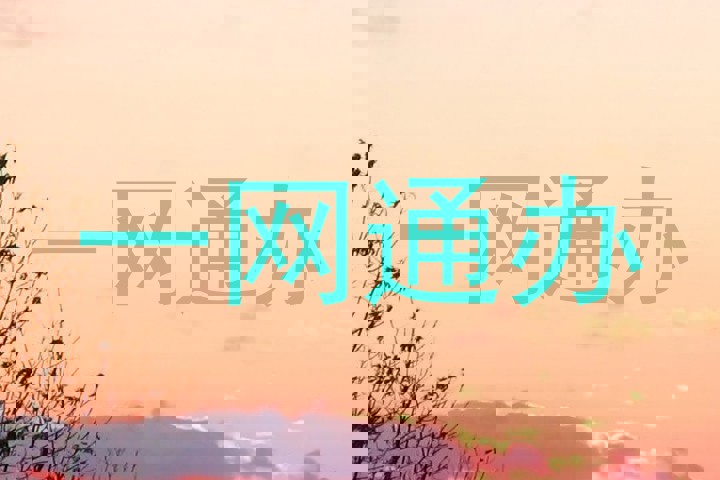 一网通办