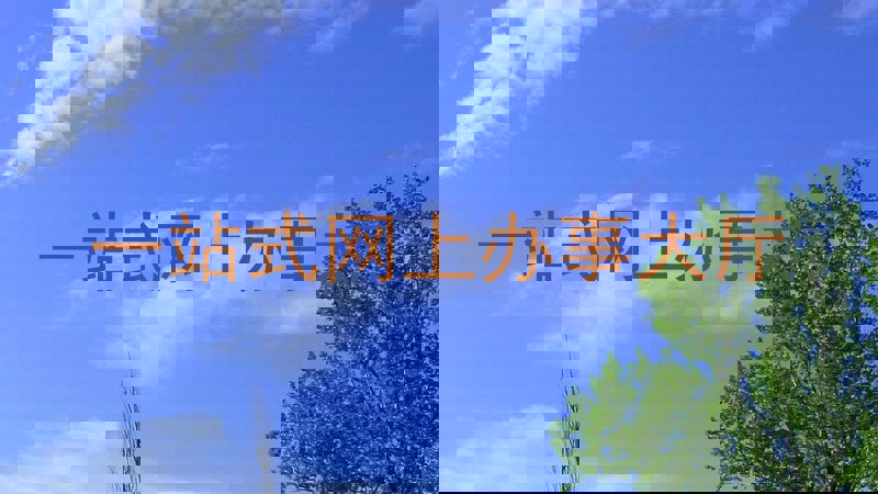 一站式网上办事大厅