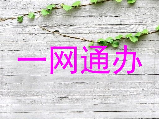 一网通办