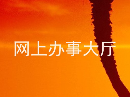 网上办事大厅