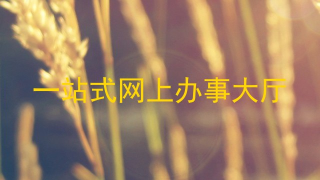 一站式网上办事大厅